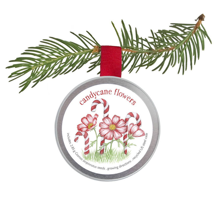 Kids Christmas Ornaments | Candycane, Tree & Snowflakes: Candycane Flowers