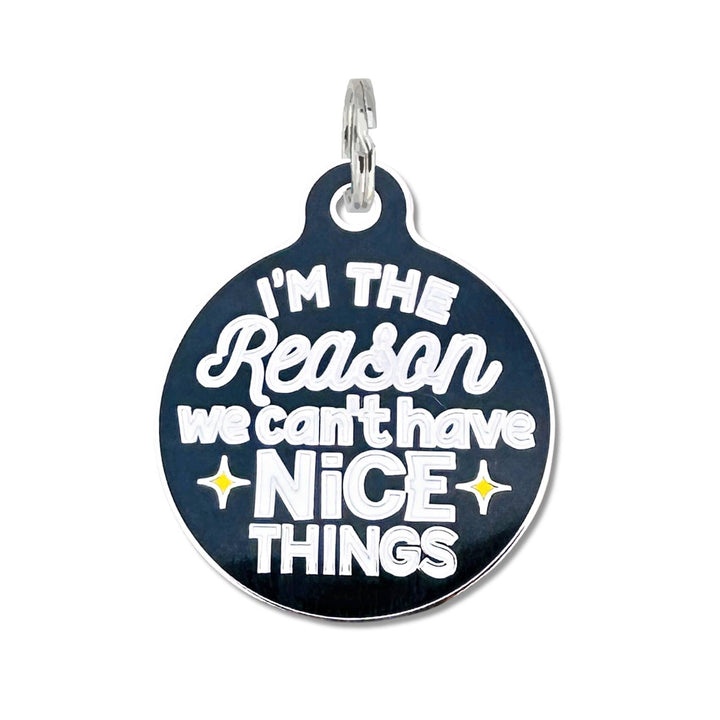 Dog Tag with Personalized QR Code - Can't Have Nice Things: Engraved QR Code / Small 1"