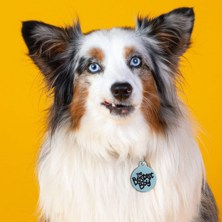 Dog ID Tag with Personalized QR Code - The Bestest Boy: Blue / Engraved QR Code / Small 1"
