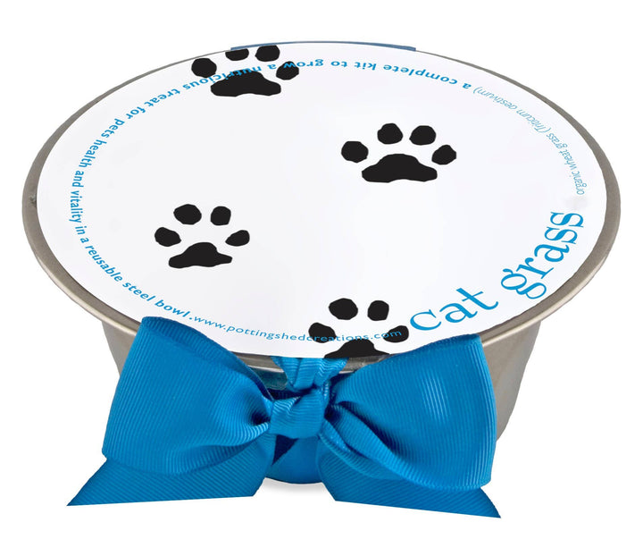 Pet Bowl | Cat Grass | NEW Christmas Gift idea: Cat Grass