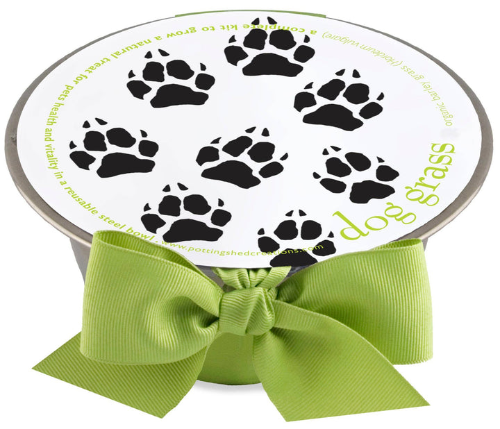 Pet Bowl | Dog Grass | NEW Christmas Gift idea: Dog Grass
