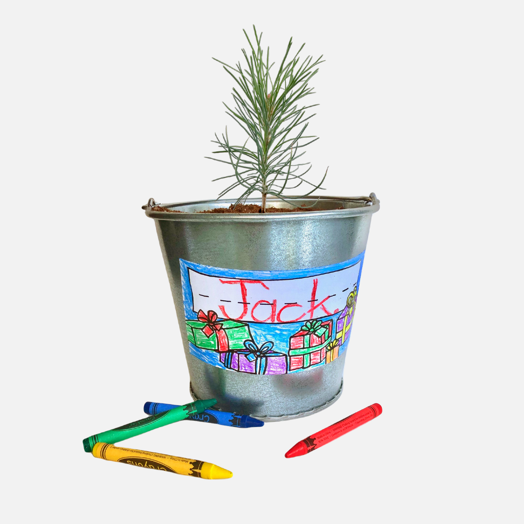 Kids Garden in a Pail | Christmas Tree | Learning Activity