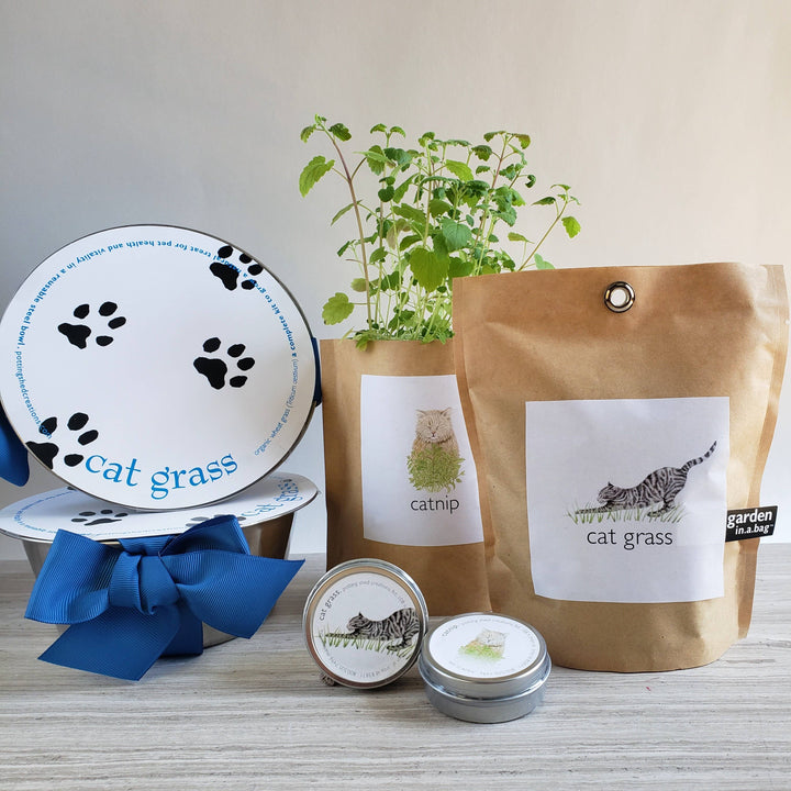 Pet Bowl | Cat Grass | NEW Christmas Gift idea: Cat Grass