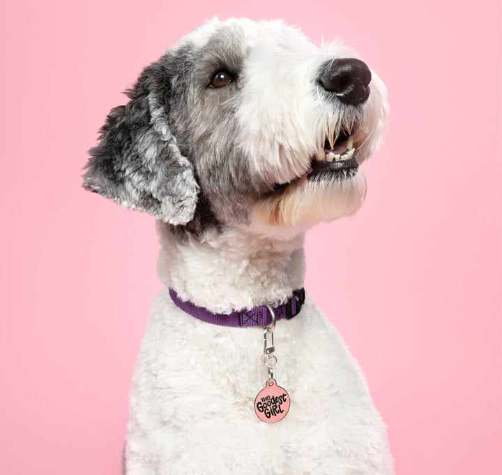 Dog ID Tag with Personalized QR Code - The Goodest Girl : Purple / Engraved QR Code / Small 1"