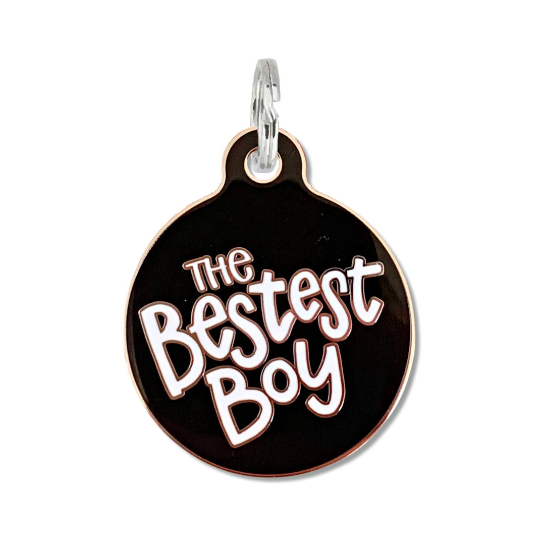 Dog ID Tag with Personalized QR Code - The Bestest Boy: Blue / Engraved QR Code / Small 1"