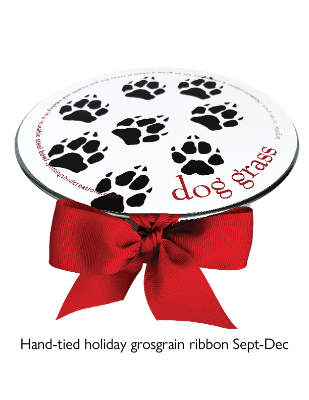 Pet Bowl | Dog Grass | NEW Christmas Gift idea: Dog Grass