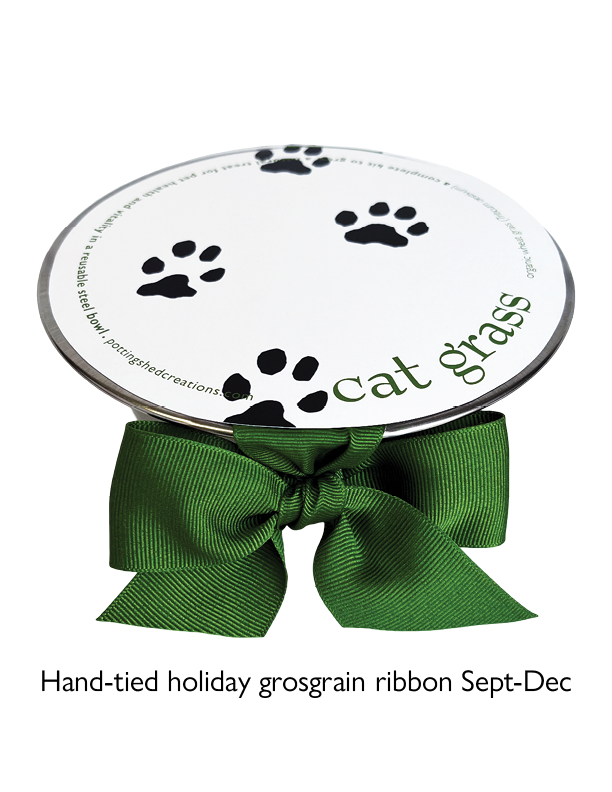 Pet Bowl | Cat Grass | NEW Christmas Gift idea: Cat Grass