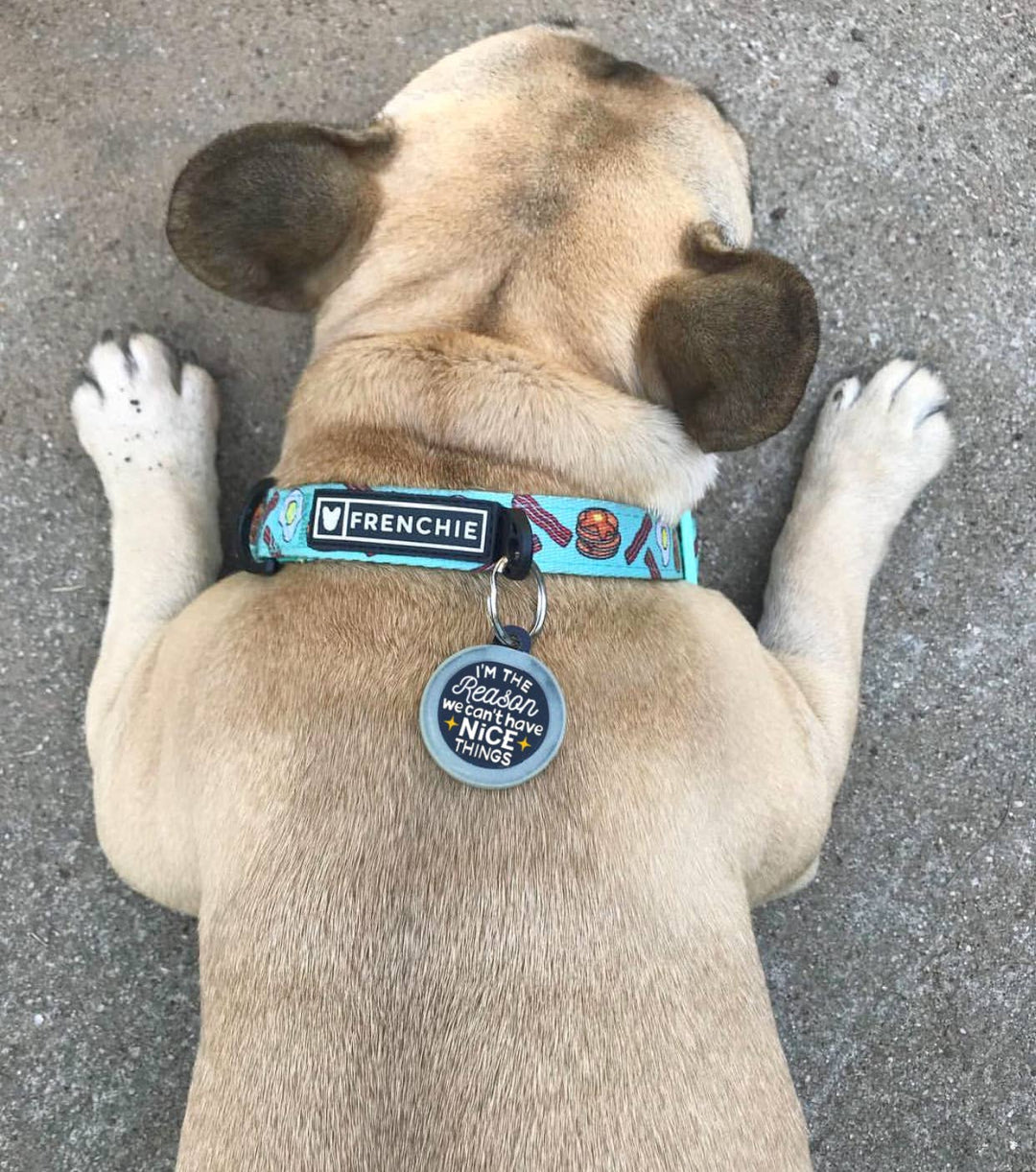 Dog Tag with Personalized QR Code - Can't Have Nice Things: Engraved QR Code / Small 1"