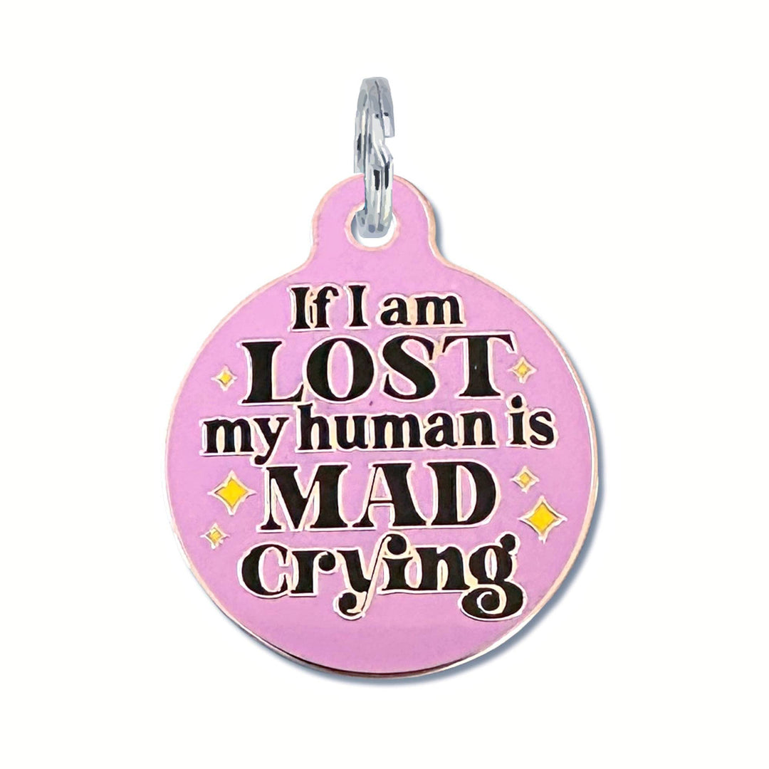 Dog ID Tag with Personalized QR Code - Mad Crying: Small / Aqua Blue / Engraved QR Code