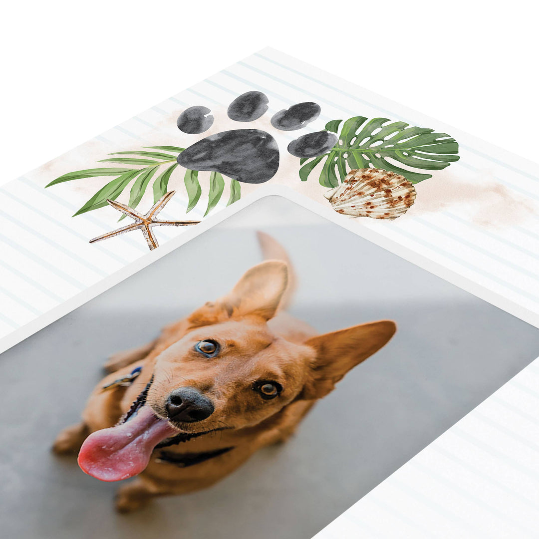 All You Need Is A Dog And The Beach Photo Frame (4x6 Photo)