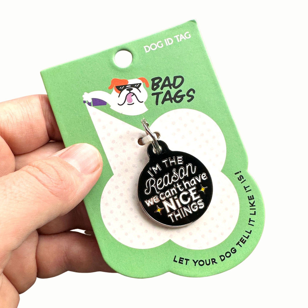 Dog Tag with Personalized QR Code - Can't Have Nice Things: Engraved QR Code / Small 1"