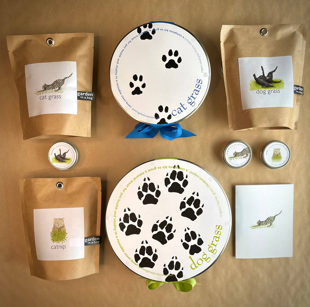 Garden Sprinkles | Catnip: Catnip