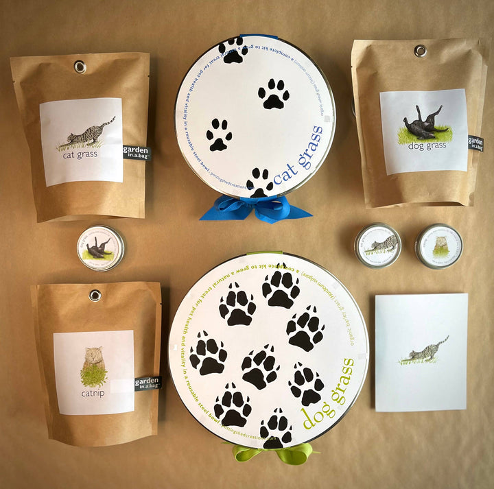 Garden Sprinkles | Catnip: Catnip